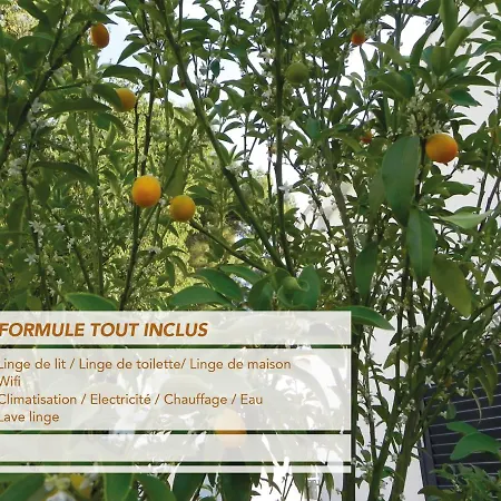 Au Pied Du Baou Avec Jardin Prive * Toulon