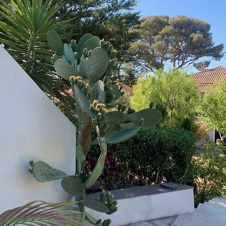 Apartment Au Pied Du Baou Avec Jardin Prive *